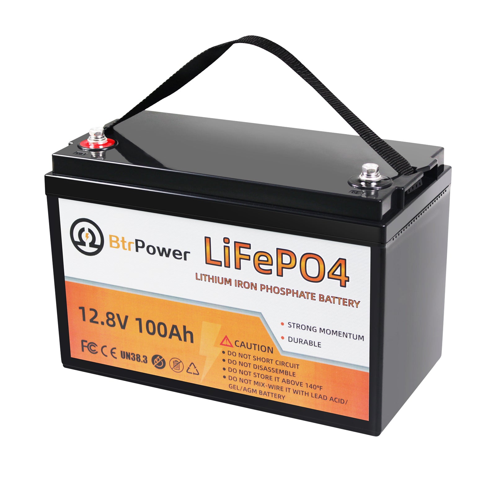Rich Solar RV 12V 100Ah LiFePO4 Lithium Iron Phosphate Battery